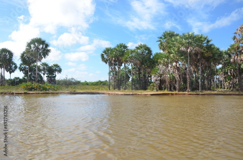 Parnaíba Piauí Barco Passeio