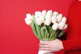 Bouquet of white tulips on red background on valentines day
