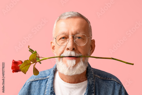 Mature man with rose flower on pink background. Valentine's day celebration photo
