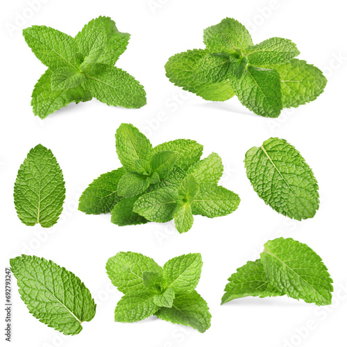 Fresh mint leaves isolated on white, set