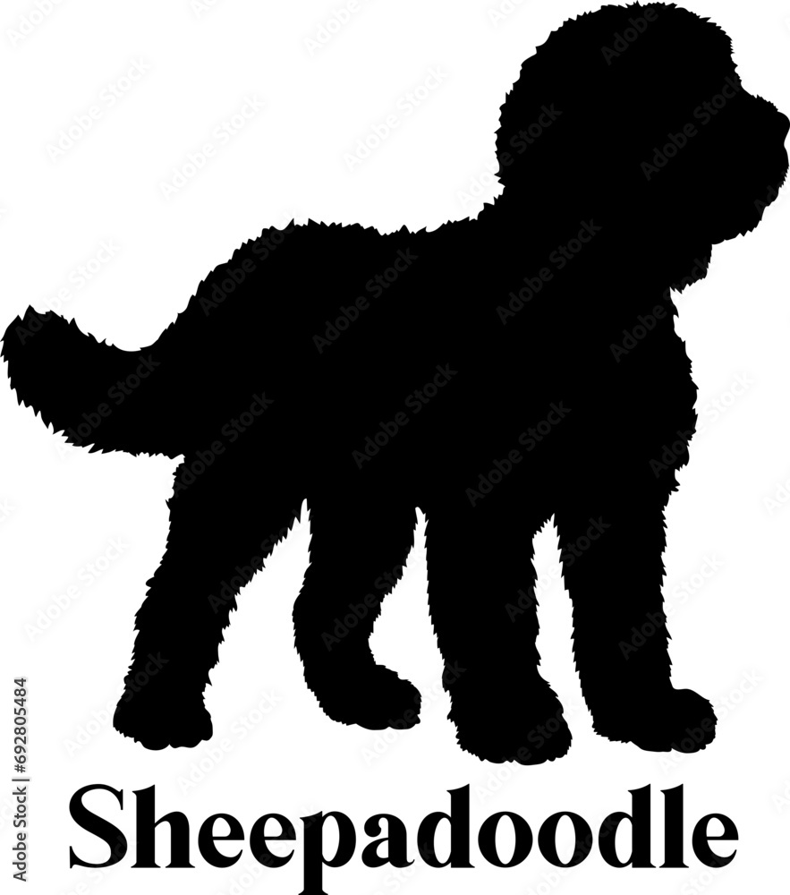Sheepadoodle Dog Silhouette SVG Vector Sheepadoodle Dog Silhouette SVG Vector