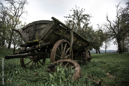 Old rusty rotten farm cart in a madow photo