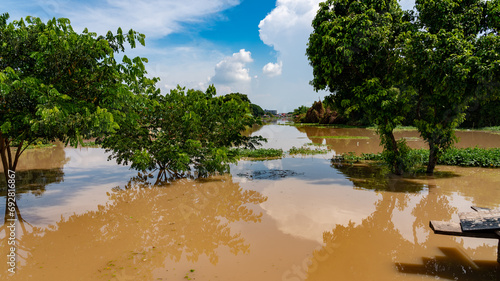 Floods in Thailand  © David