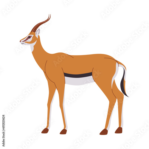 brown color springbok wild animal mammal herbivore fast run and head have horn