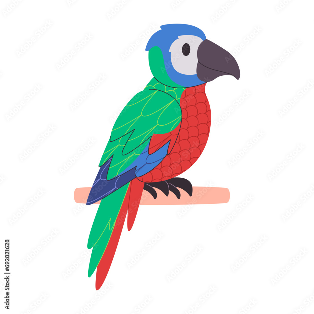 colorful parrot bird perched in branch wildlife nature animal beautiful feather tropical environment