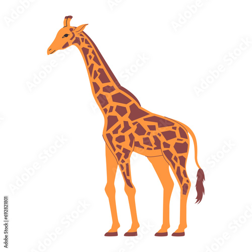 yellow and spotted brown color giraffe wild nature animal mammal herbivore creature have long neck