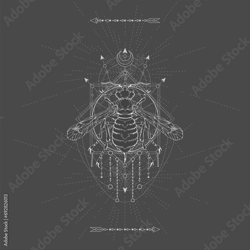 Vector illustration with hand drawn Wasp and Sacred geometric symbol on black background. Abstract mystic sign. White linear shape. 