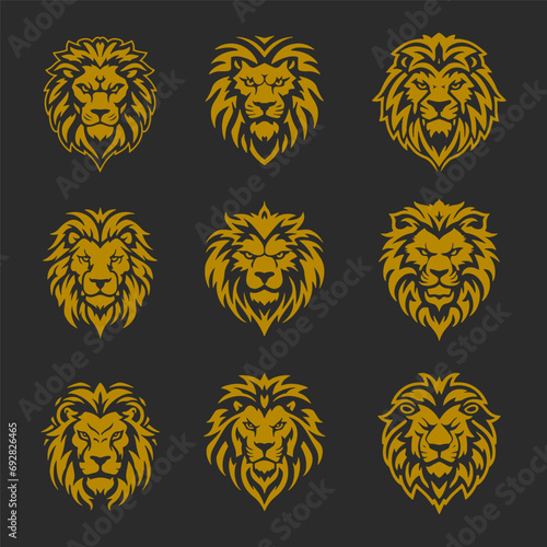 Gold lion head mascot collection 