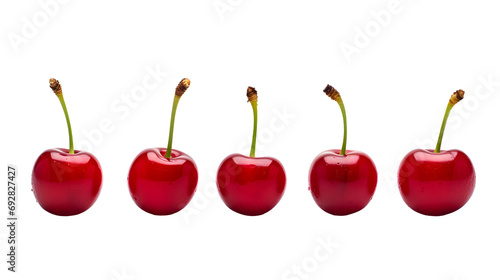 Isolated cherries in a row. Whole sweet cherry