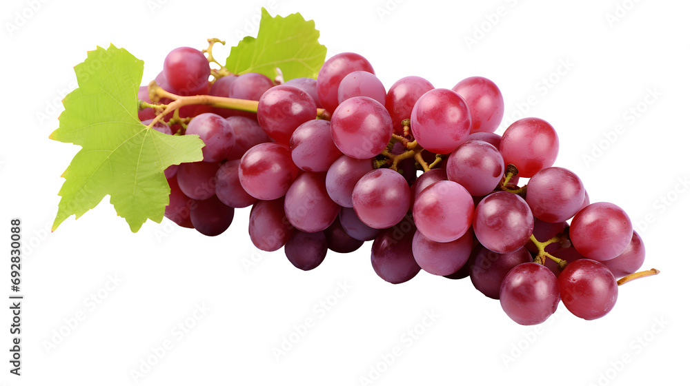 Isolated grape. Bunch of red grapes with leaves on a branch of vine isolated on white background Isolated grape. Bunch of red grapes with leaves on a branch of vine isolated on white background