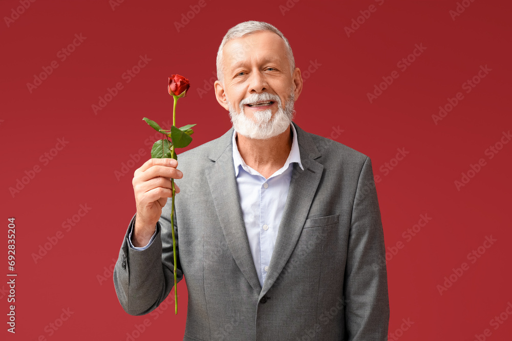 Mature man with rose flower on red background. Valentine's day celebration Mature man with rose flower on red background. Valentine's day celebration