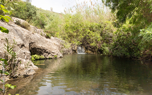 The small pond in the El Al National Nature Reserve located in the northern Galilee in the North of Israel