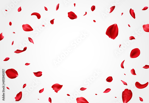Red rose petals. Falling Petal Banner. Confetti pelal . Vector stock.