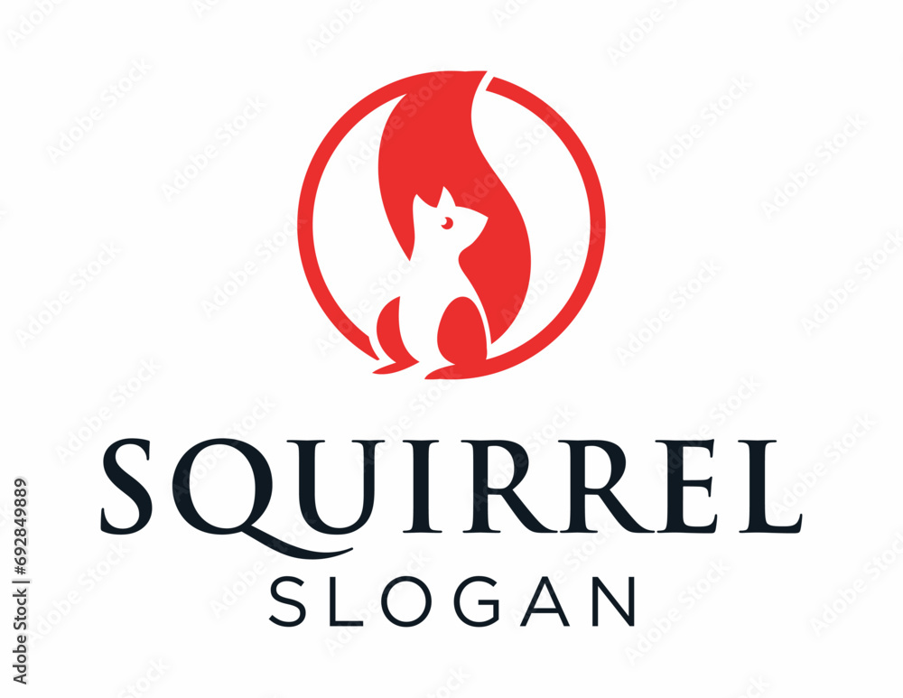 Obraz premium Squirrel Logo Design