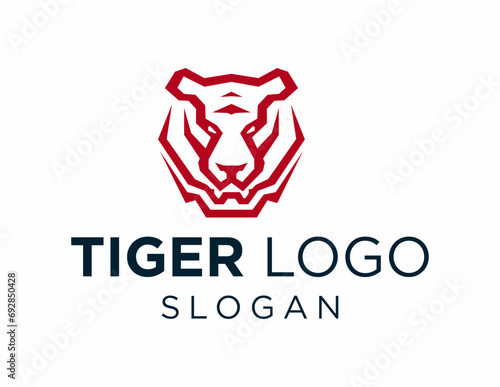 Tiger Logo Design