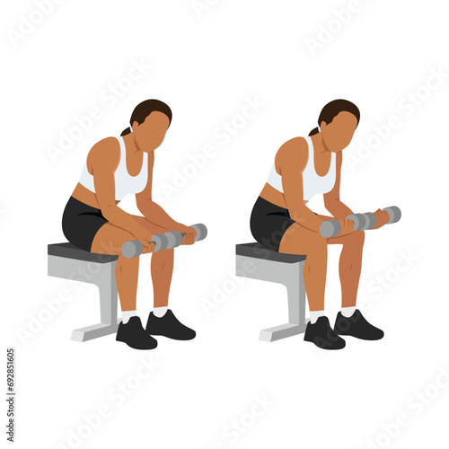 Woman doing seated dumbbell palm up wrist curls or forearm curls exercise. Flat vector illustration isolated on white background