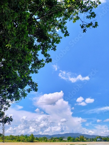 The picture shows a bright daytime sky with white clouds and a green tree in the left hand corner sticking out.