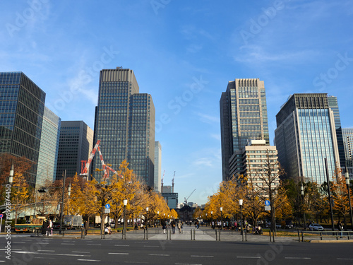秋の東京都の都心の高層ビルとイチョウの木の黄色い葉っぱと東京駅の風景