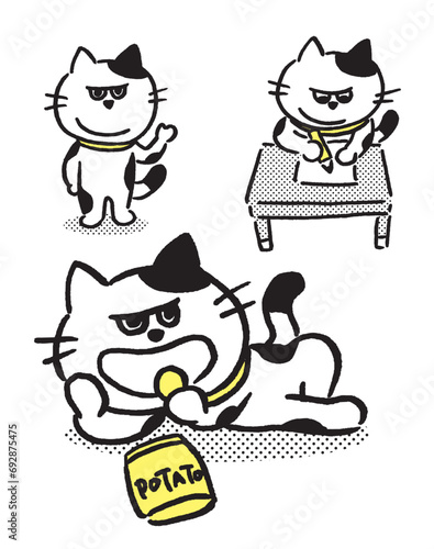 白黒の目つきがワルくてニヤリと笑ったブチ猫