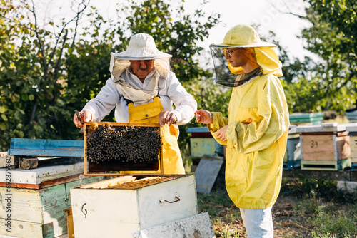 Young woman helping her grandfather in beekeeping bittiness. Senior man holds a frame with bees on it.