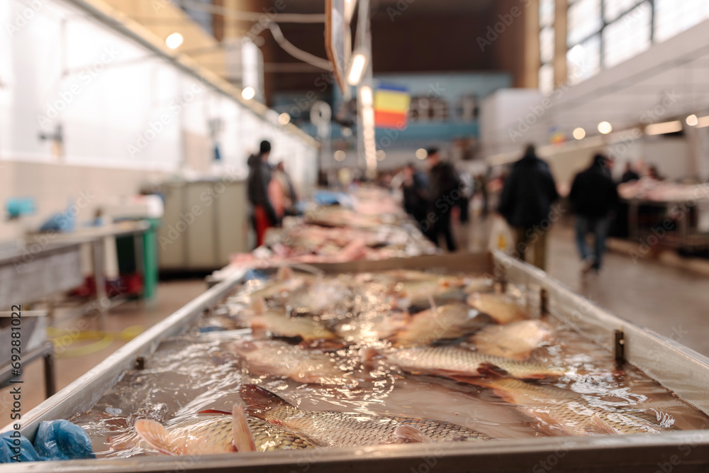 Obraz na płótnie A Vibrant Display of Fresh Fish on a Busy Conveyor Belt at Obor Fisher Market w salonie