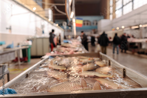 A Fish in a Container