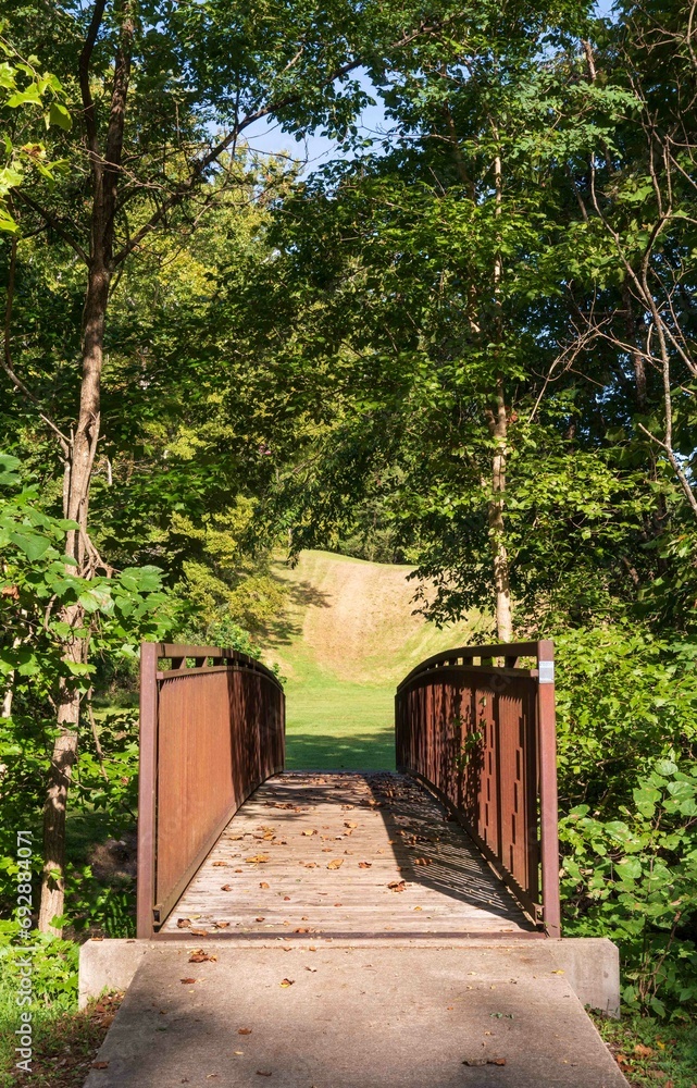 Foot Bridge at the Wayne National Forest in Ohio