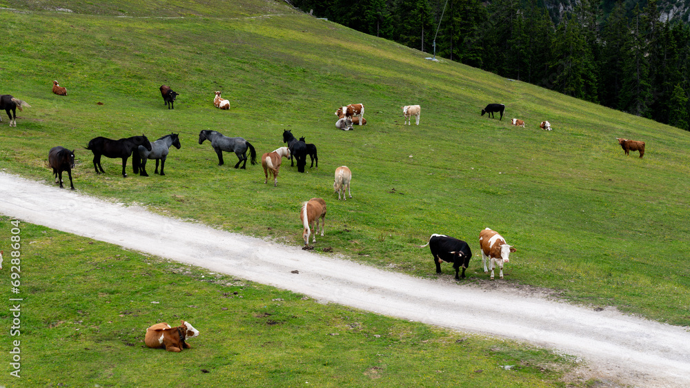 Austria | Tirol | Seefeld Austria | Tirol | Seefeld