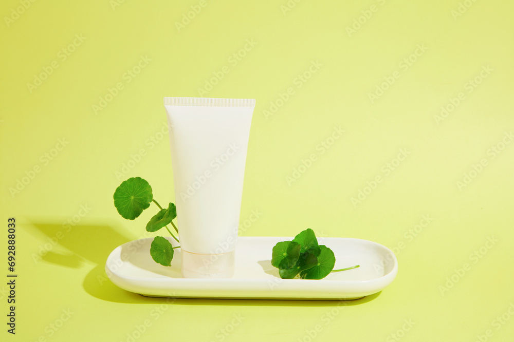 Fresh pennywort leaves and a tube of facial cleanser are displayed on a white ceramic tray. Exquisite background for vegan cosmetics advertisement. Fresh pennywort leaves and a tube of facial cleanser are displayed on a white ceramic tray. Exquisite background for vegan cosmetics advertisement.