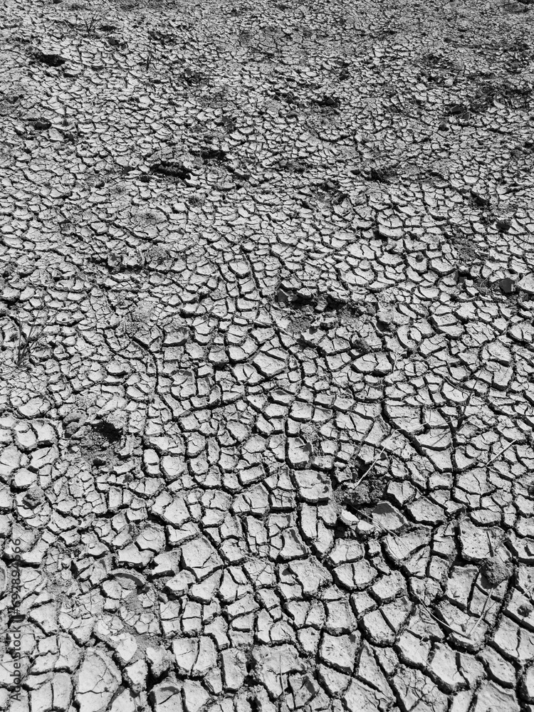 Top view black and white dry and cracked ground.Global warming effect.earth cracked effect of salt water. Top view black and white dry and cracked ground.Global warming effect.earth cracked effect of salt water.