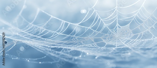 Winter's icy web