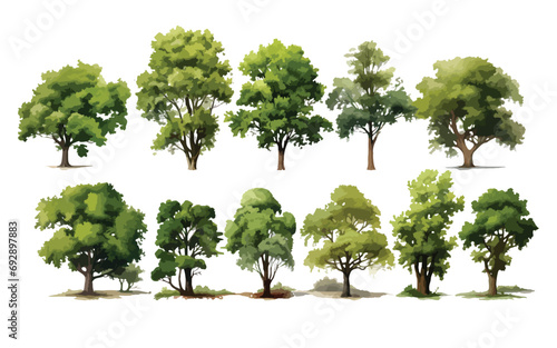 Collection of trees, watercolor vector trees, Landscape architecture,