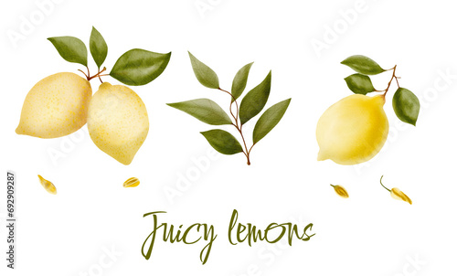 Watercolor illustration of yellow lemons on a branch. Vegetables, fruits, kitchen, cooking, eating, drinking tea, gardening designs.