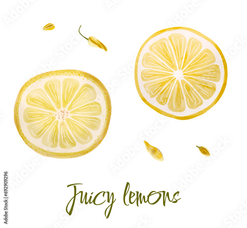 Watercolor illustration of yellow lemons on a branch. Vegetables, fruits, kitchen, cooking, eating, drinking tea, gardening designs.