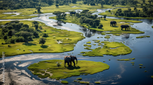 Aerial view of the Okavango Delta: Intricate network of waterways and lush green islands.