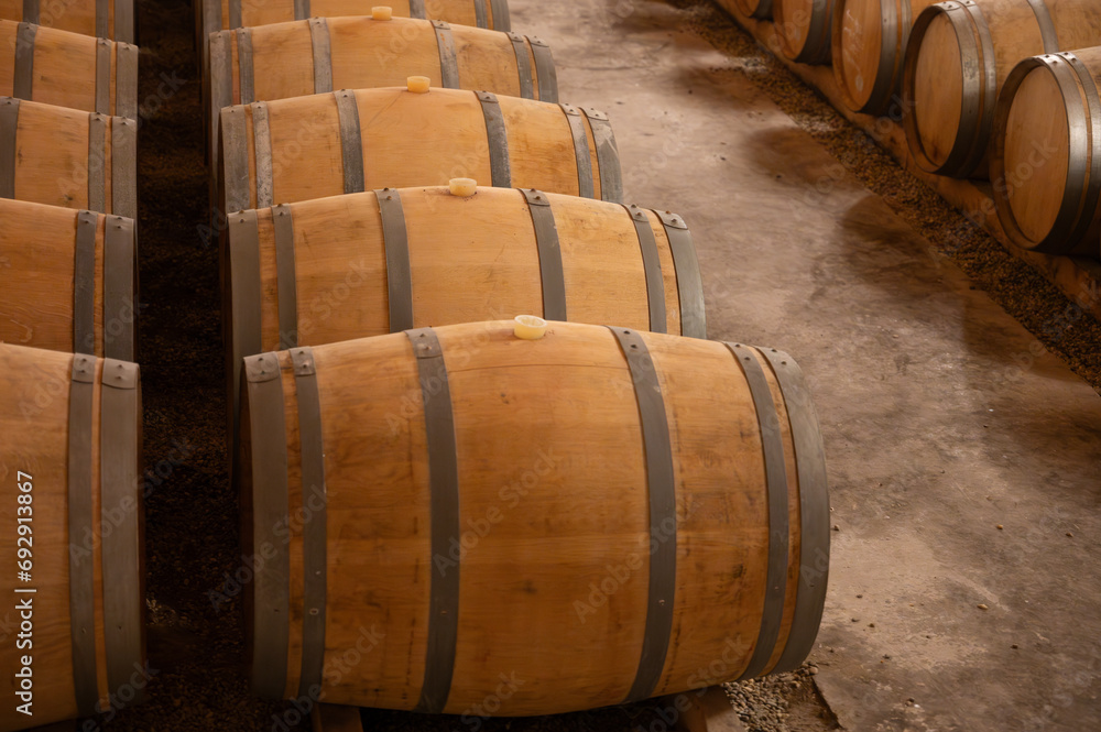 WIne celler with french oak barrels for aging of red dry wine made from Cabernet Sauvignon grape variety, Haut-Medoc vineyards in Bordeaux, left bank of Gironde Estuary, Pauillac, France