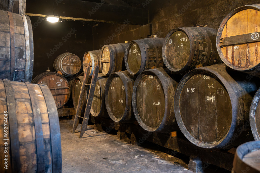 Aging process of cognac spirit in old French oak barrels in cellar in distillery in Cognac white wine region, Charente, Segonzac, Grand Champagne, France