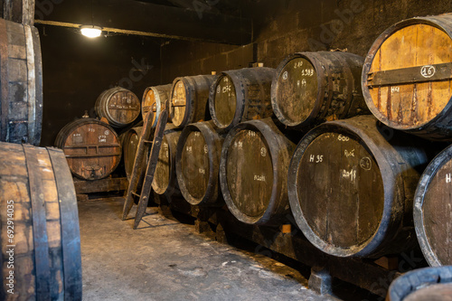 Aging process of cognac spirit in old French oak barrels in cellar in distillery in Cognac white wine region, Charente, Segonzac, Grand Champagne, France photo