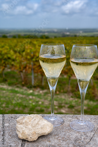 Tasting of grand cru sparkling white wine with bubbles champagne on chardonnay vineyards in Avize,  grand cru wine producer small village, Cote des Blancs, Champagne, France photo