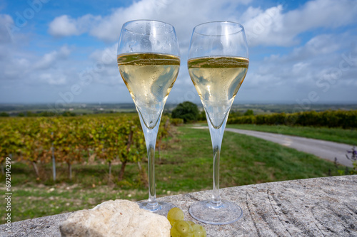 Tasting of grand cru sparkling white wine with bubbles champagne on chardonnay vineyards in Avize,  grand cru wine producer small village, Cote des Blancs, Champagne, France photo