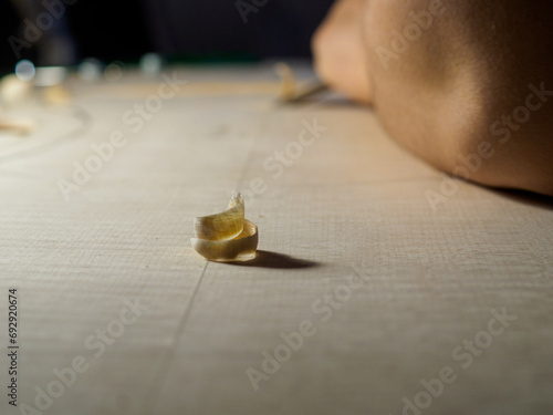 Obraz na plátně artisan luthier stringed instrument maker carve a spruce wood cello plate with g