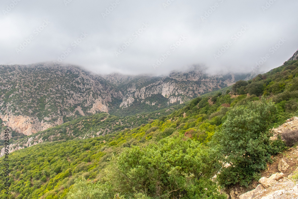 Majestic Djebel Zaghouan: Tunisia's Stunning Mountain