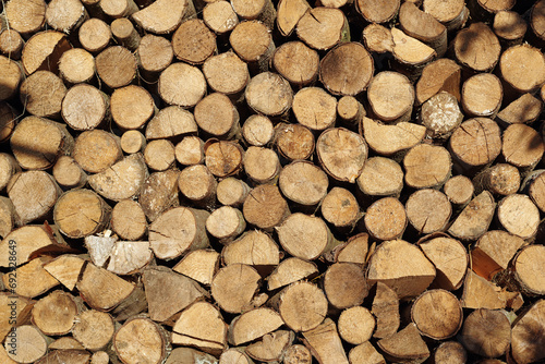 Dry firewood logs
