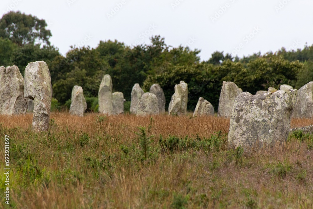 alignment of menhirs in the morning