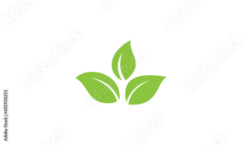 green plant isolated on white