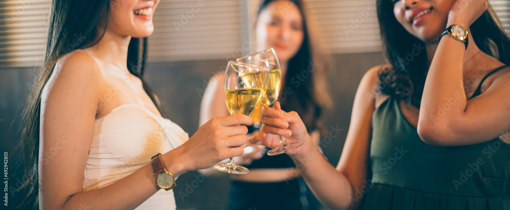 Girls gathering and toasting glasses of wine at the party. Group of people enjoy talking and drinking. Night lifestyle or clubbing concept Girls gathering and toasting glasses of wine at the party. Group of people enjoy talking and drinking. Night lifestyle or clubbing concept