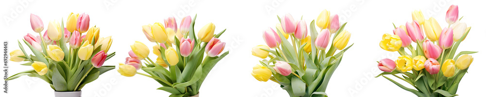 bouquet of tulips - obrazy, fototapety, plakaty 