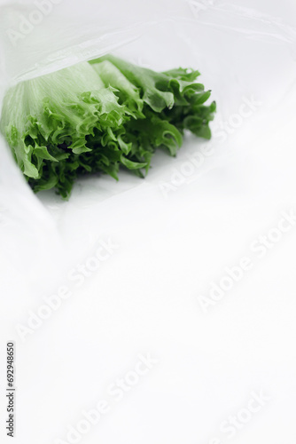 Raw lettuce from local market in plastic shopping bag over light background. Copy space. Top view. Organic food, edible fresh picked. Plastic Pollution, Ethical Consumerism, Healthy Eating concept