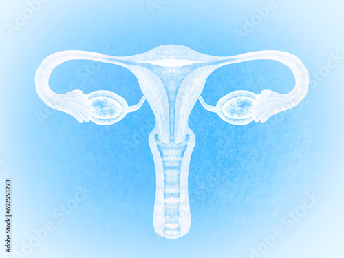 Female reproductive system on light blue background  illustration