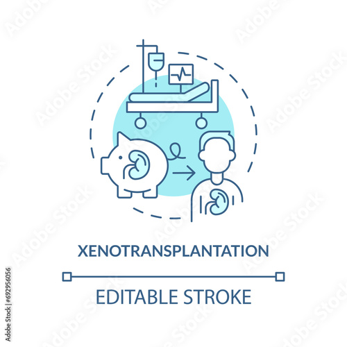 2D editable blue xenotransplantation icon, monochromatic isolated vector, thin line illustration representing cell therapy. photo